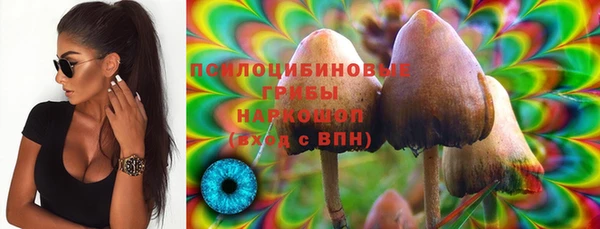 мяу мяу мука Алексин