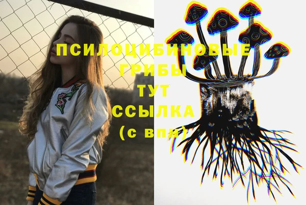 Альфа ПВП Алзамай