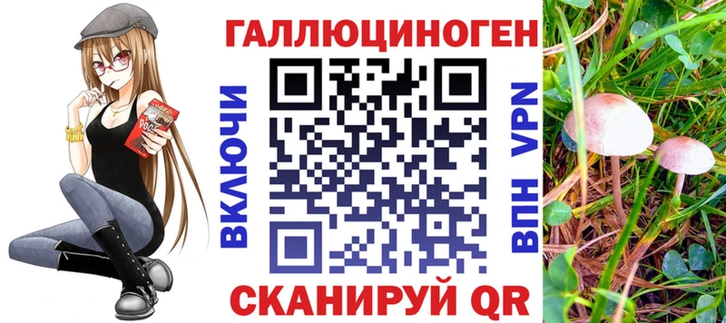 купить наркотик Анжеро-Судженск Псилоцибиновые грибы Psilocybe